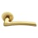 Door handle Rucetti Rap 6 SG/GP, matte gold/gold