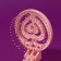 The comb is massage, folding, with a mirror, d = 6.6 cm, pink color
