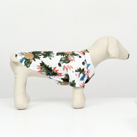 Dog shirt "Tropics", L (DS 28, OG 36, Osh 26 cm), White-1