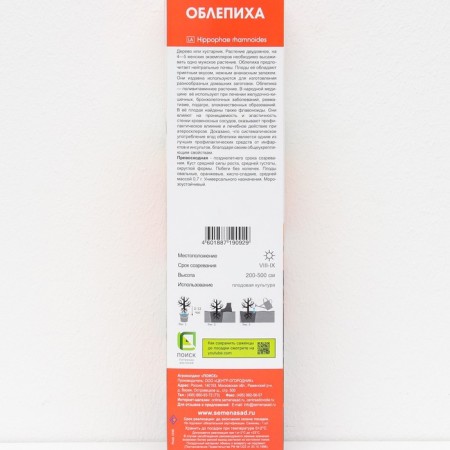 Sea buckthorn "Excellent", 1 pc, tube, spring 2025-2