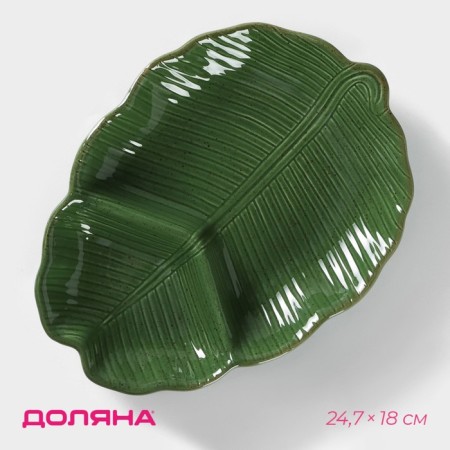 Menzhitsa 2 cells of the leaf, 24.7 × 18 × 3.8 cm, green color