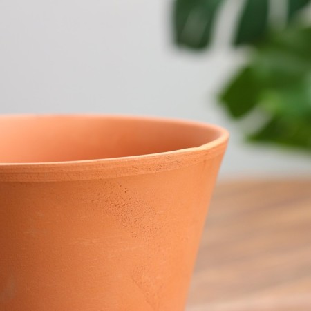Flower pot "Nolina" 1.2 l-1