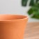 Flower pot "Nolina" 1.2 l