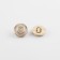 A set of buttons on the leg "Rose", d = 10 mm, 5 pcs, white/gold color