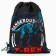 A bag for shoes t -rex, non-packed canvas, size 30 x 40 cm