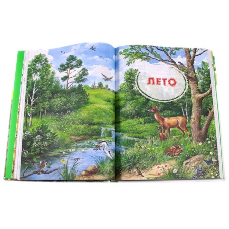 Big forest encyclopedia. We get acquainted with the nature of Russia. Tikhonov A.-1