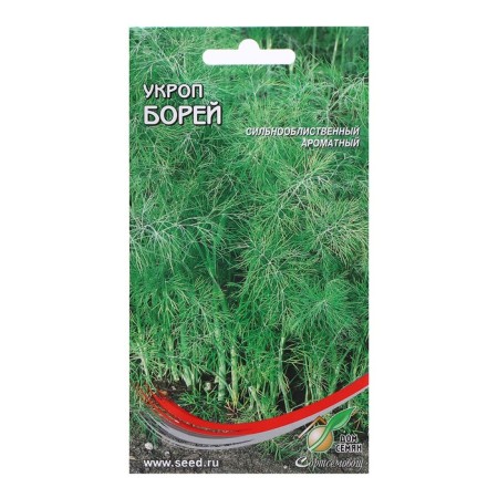 Semen Dill "Borey", 900 pcs