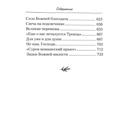 Ладонью солнце не закрыть. Евсин И.-5