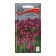 Flower seeds Statitsa "Carmin Suprim", 0.15 g