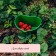 Berry collection container, 3 l, dark green