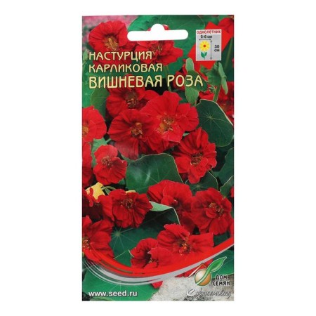 Flower seeds nasturtium karl. Vishnevoy rose, 8 pcs