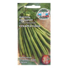 Seeds of beans 