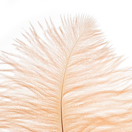 A pen for decor, length from 45 to 50 cm, the color is pale corral-1
