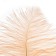 A pen for decor, length from 45 to 50 cm, the color is pale corral