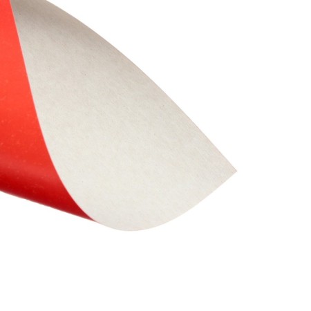 Cardboard of color A4, 16 sheets, 8 colors, in the Parrot folder, coated 240 g/m2-6