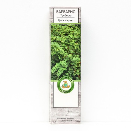 Barberis Tunberg "Green Carpet", 1 pc, tube, spring 2024
