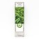 Barberis Tunberg "Green Carpet", 1 pc, tube, spring 2024
