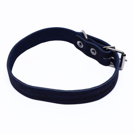 Collar of a single-layer leather, 45 x 2 cm, Osh 25-35 cm, blue-1