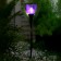 Garden lamp on the solar battery "Violet Tulip", 4.5 × 29 × 4.5 cm, 1 LED, glow white