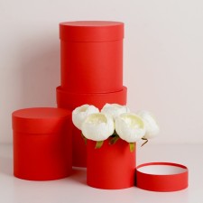 Set of hats 4 in 1 