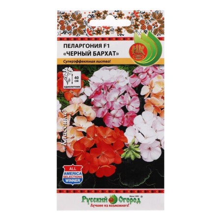 Flower seeds Pelargonium "Black velvet", mixture 5 pcs-2