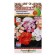 Flower seeds Pelargonium "Black velvet", mixture 5 pcs