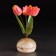 Souvenir "Vase Tulip", 5 flowers, selenite, small, selenite
