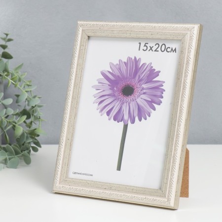 Photo frame plastic Rosa 15x20 cm silver-1