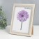 Photo frame plastic Rosa 15x20 cm silver
