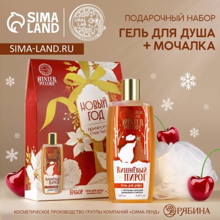Gift set of cosmetics, shower gel 250 ml and washcloth, Winter Melody by Ural Lab