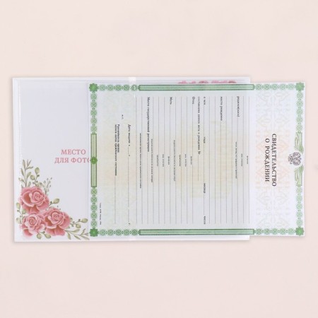 Folder for the birth certificate of "rose" girl, a5-3