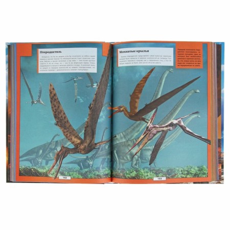 Large children's 3D encyclopedia about everything in the world-2