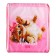 A bag for shoes 420 x 340 mm, Calligrata MSO-5C, (soft polyester, density 210D), "The smallest"