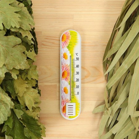 The thermometer is the room P-1 "Flower" (t 0 + 50 s) in the bag-2