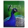 A notebook of 96 sheets in a cage on a clip "Animals", cover coated cardboard, glossy lamination, mix