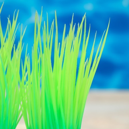 The artificial aquarium, luminous plant, 9 cm, green-2