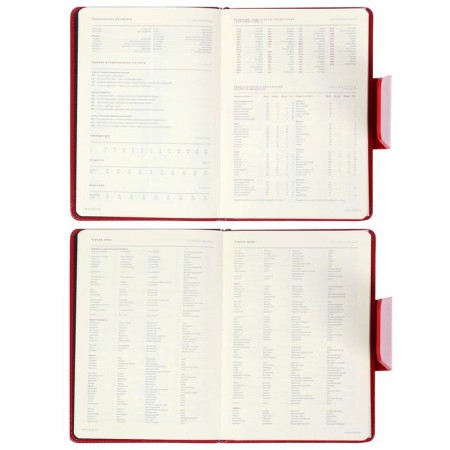 Deliciper of Leduced A5, 160 Prestige sheets, solid cover, artificial leather, magnetic straps, red-6