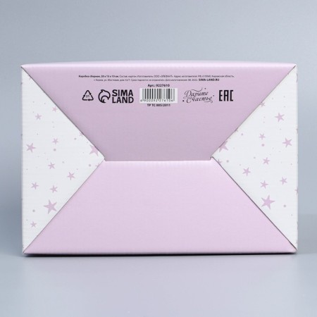 Box Gift team, packaging, “unicorn”, 22 x 15 x 10 cm-5