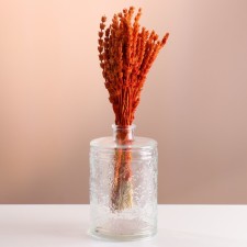 Set of dried flowers 