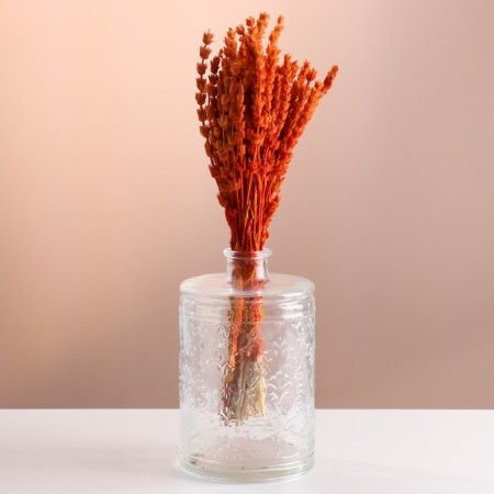 Set of dried flowers "Zheleznitsa", banch length 35 (+/- 6 cm), orange