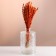 Set of dried flowers "Zheleznitsa", banch length 35 (+/- 6 cm), orange