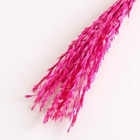 Set of dried flowers "Raigrace", banch 21 pcs, length 60 (+/- 6 cm), fuchsia-2