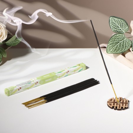 Incense "Breathing of nature eucalyptus", 8 sticks