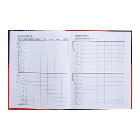 Universal diary for grades 1-11 sports cars, hard cover, glossy lamination, 40 sheets-6