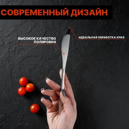 Stainless steel knives are Sentiment, length 23 cm, 6 pcs, silver color-2
