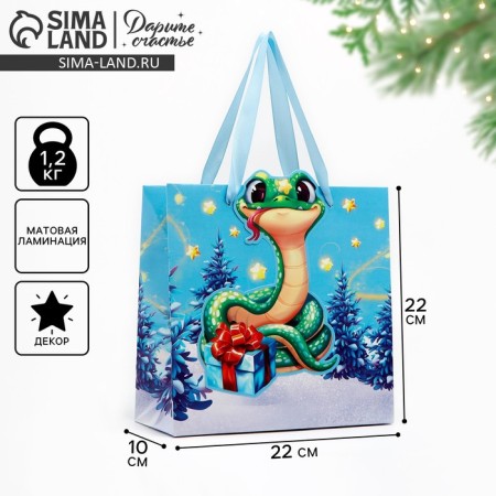 Gift package “Happy New Year!”, Snake, 22 x 22 x 10 cm, New Year