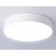 LED LED ceiling Ambrella Orbital Air Alum FV5524, 35W, LED, white color