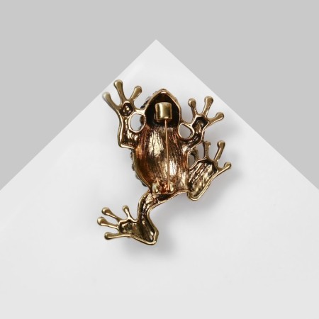 Brooch "Frog" chess, color rainbow-brown in black gold-1