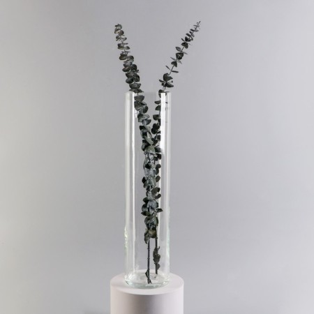 VAZ "Ibertta-1" 50x12cm, 4.65l transparent-1