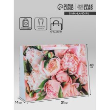 Package Gift Laminated Horizontal 
